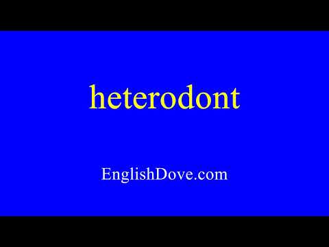 How to pronounce heterodont in American English