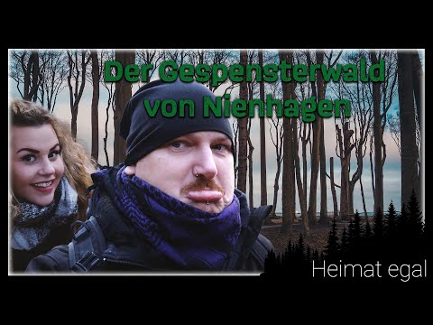 Der Gespensterwald von Nienhagen - Ostsee im Winter