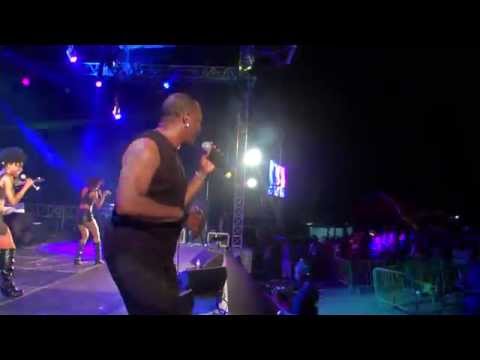 TERRE DE BLUES 2014 : Extrait Concert JT Taylor