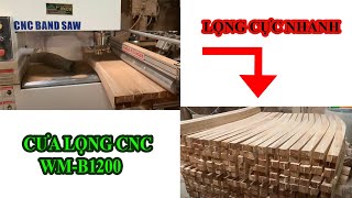 Cưa Lọng CNC Trong Xưởng Sản Xuất Ghế Gỗ Xuất Khẩu | Lọng CNC Woodmaster WM-B1200