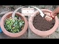 How to make COMPOST at home with kitchen & garden waste: कम्पोस्ट बनाएं घर पर