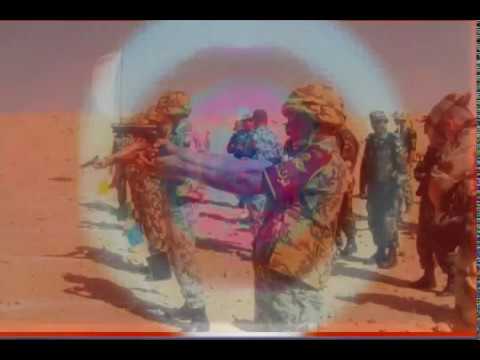 Planet`s Top Warriors-1