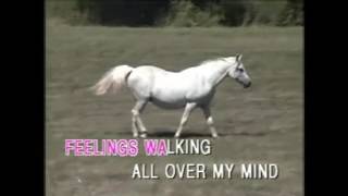 Funny Familiar Forgotten Feelings karaoke