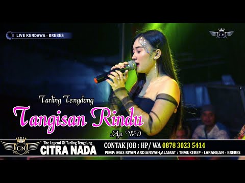 TANGISAN RINDU ~ AYU WD // CITRA NADA LIVE DESA KENDAWA LAWA - JATIBARANG - BREBES