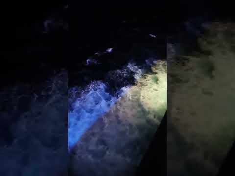 Thumbnail for Carnival Splendor Night Ocean View