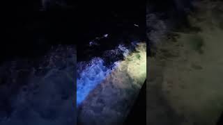 Carnival Splendor Night Ocean View