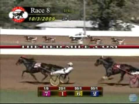 Kentucky Futurity 2nd Heat 2009 -Muscle Hill