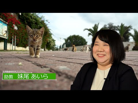 広島大学生物生産学部　教授に聞く　妹尾 あいら 助教