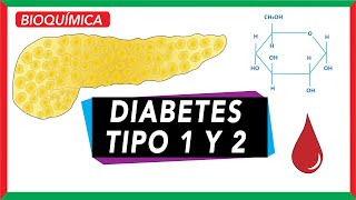 🔴 Type 1 and 2 Diabetes: Differences [Insulin Signaling]