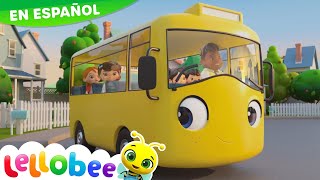 NUEVA CANCIÓN | Vamos a la Escuela | Canciones Infantiles | Little Baby Bum en Español
