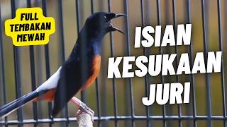 Download lagu MURAI BATU GACOR FULL ISIAN TEMBAKAN MEWAH ISIAN JELAS DAN MUDAH DI TIRU BURUNG MURAI BATU mp3