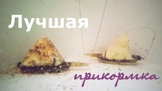 Прикормка для методной кормушки с прессформой своими руками