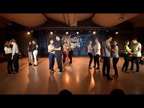 Westie's Angels 2022 - STRICTLY NOVICE - Finals
