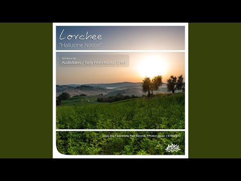 Hallucine Nation (Yuriy From Russia Remix)