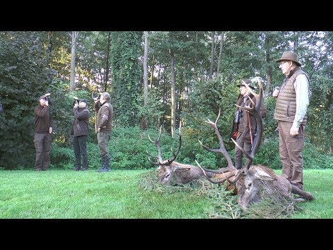 Erfolgreiche Frühpirsch in Masuren!