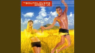 Wonderful Life (After Party Mix)