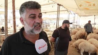 تجار الاغنام يشكون ضعف الحركة الشرائية