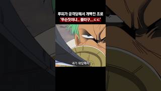 🔥루피 공격당해서 개빡친 조로🔥