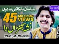 Nasha Sajna Da Wajid Ali Baghdadi Official Song Jani Rights Saraiki Video Songs
