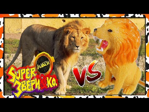 SUPER звери ПРОТИВ НАСТОЯЩИХ животных