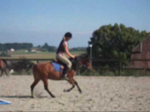 cours de saut à diesse mercredi 5.8.09