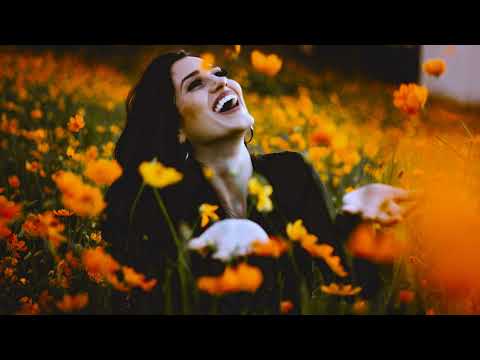 Hideout Quiet Fields