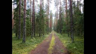 Jaak Joala ja Lainer- Neli Teed (1987)