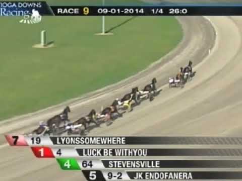 2014 Cane Pace • Tioga Downs