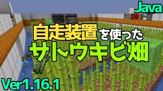 マイクラ1 16 1 16 4 初心者でも簡単 世界最小クラスのオーク専用原木製造機の作り方 ツリーファーム Java Edition便利装置 برنامج تنزيل Mp3 الأكثر شعبية على الإنترنت マイクラ1 16 1 16 4 初心者でも簡単 世界最小クラスのオーク専用原木製造機の作り方 ツリーファーム Java Edition便利装置 برنامج تنزيل Mp3 الأكثر شعبية على الإنترنت