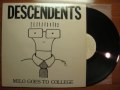 Descendents - Catalina 