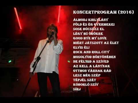 Homonyik Sándor koncertprogram (2016)