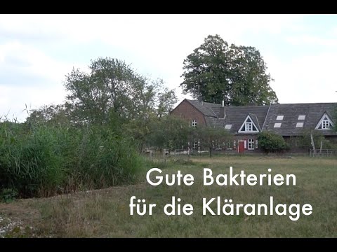 MikroVeda Gute Bakterien für die Kläranlage