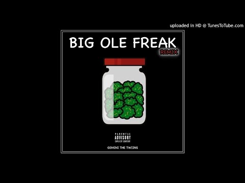 Gemini The Twiins - Big Ole Freak (remix)