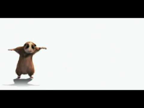 Funny animal videos - A Breakdancing Hamster