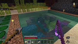 マイクラ