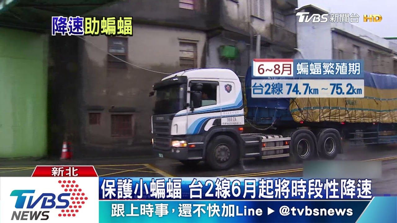 保護小蝙蝠! 六月起台2線首設時段性降速