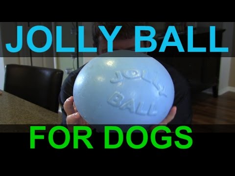 download lagu mp3 mp4 Jolly Ball Australia, download lagu Jolly Ball Australia gratis, unduh video klip Jolly Ball Australia