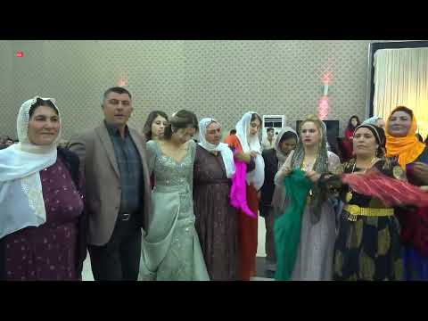 SÜPER KÜRTÇE ŞEVKO HALAYI LEYLA YILMAZ  DAVATE 2024 Part 02