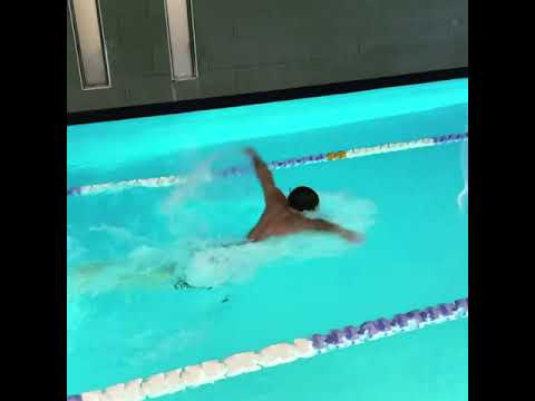 Butterfly ? is Back Baby ? (Butterfly ?  is Back Baby ?)