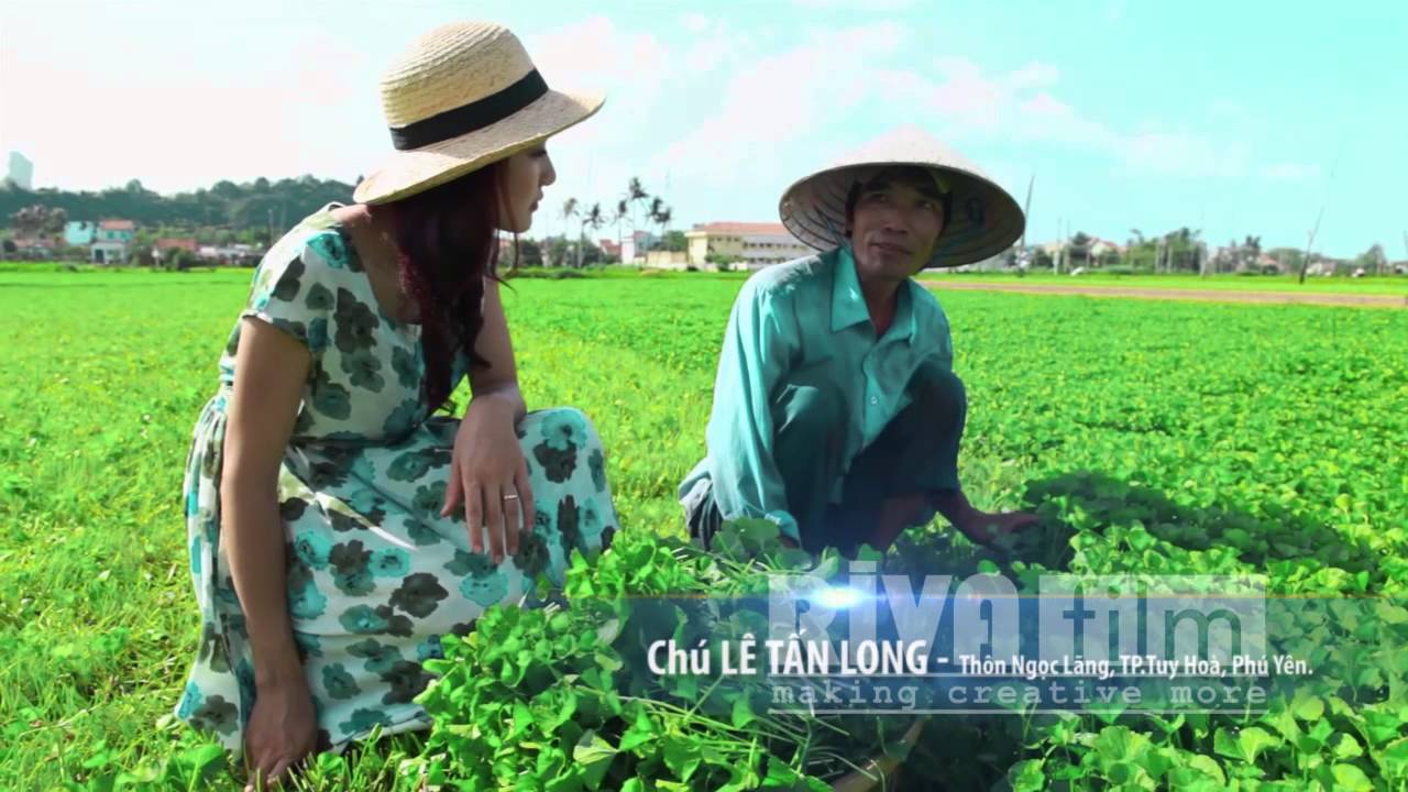 Làng rau Ngọc Lãng