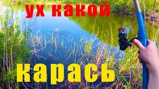 Ссылка