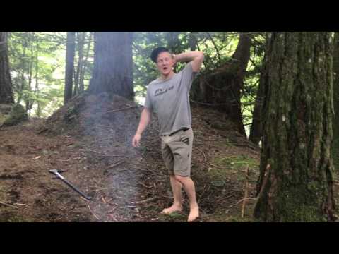 Morning Wood Camping