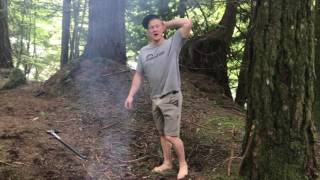 Morning Wood Camping