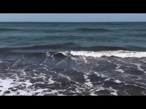 waves on the beach SOUNDSCAPE🍂