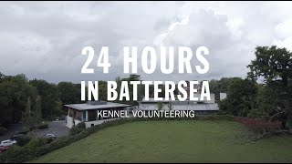 Kennel Volunteering | 24 Hours in Battersea