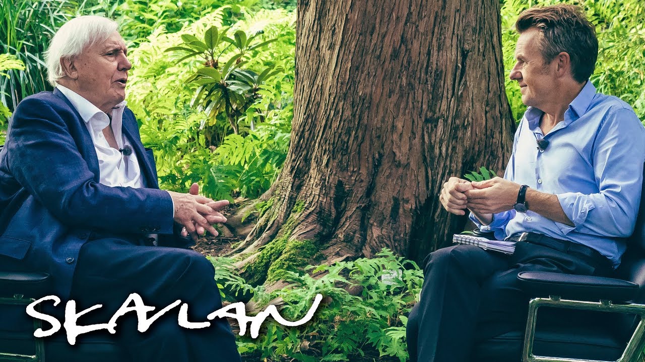 Interview with BBC's legendary Sir David Attenborough | SVT/TV 2/Skavlan