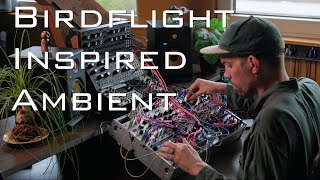 Video thumbnail for Raaf - Murmurations - Birdflight inspired ambient (Intellijel Sealegs, Make Noise DXG, Hermod+) by Raaf Modular