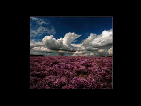 John McDermott - Wild Mountain Thyme
