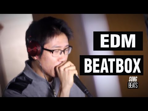 Electro & House EDM (Beatbox Live Looping) by SungBeats