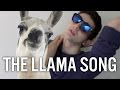 THE LLAMA SONG - YouTube